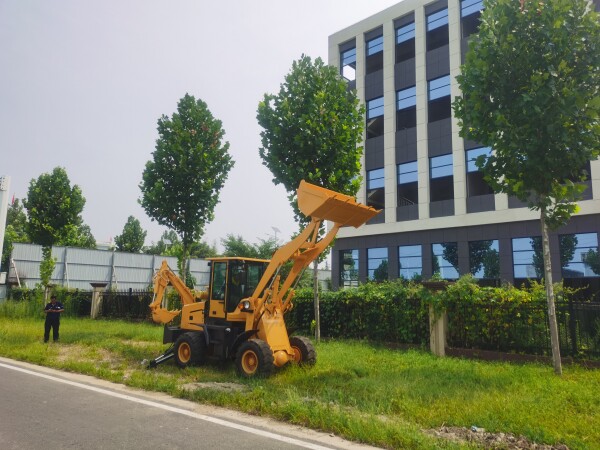 China High-Efficiency Mini Loader Busy at Both Ends